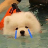 清醒的沉沦aaa