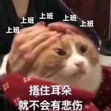 小芳