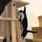 暮看云