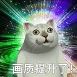 正在晚睡