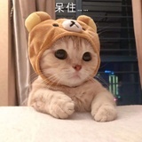 花海
