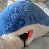 苏打不起沫