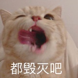 顾凉y