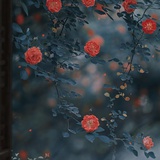素衣罗裳