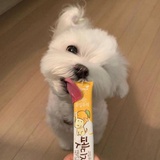 萝崽万岁