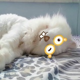 墨熈