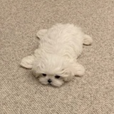 我再睡一下