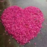 如花花花花