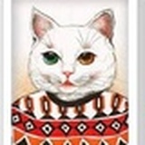 桃猫猫