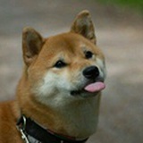 智硕企业服务