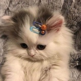 🎐