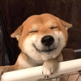 已注销