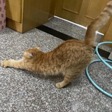 萌萌哒de叔
