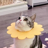 南瓜星糯米团子