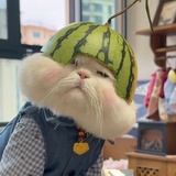 闭嘴吧你
