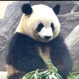 睡相求变好