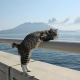 风煦