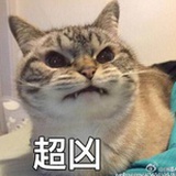 从北北