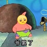 杨葱