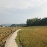 三角龙呀