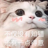 蘑菇shroom