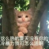 景行