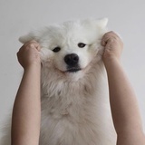 慕扬