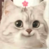 是不是喔哟