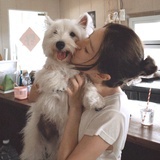 带我去月球好吗