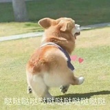 空巢青年何小亚