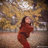 想去冰岛的小