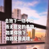 月海蝶梦