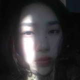 在地飞蝶