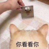 蹦蹦不蹦