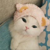 小海海