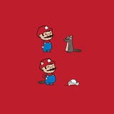 小白