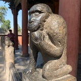 罗抒
