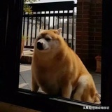 大力出奇迹