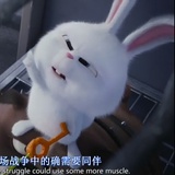 前进的阿麦