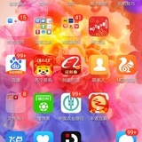 维哥