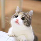 yuki买买买