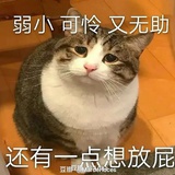 豆包