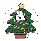 江小白白
