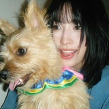 momo