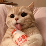 小肥羊