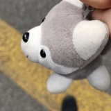 张大汪