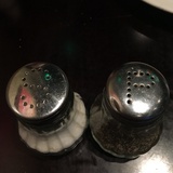 没记忆的鱼