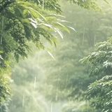 已注销