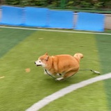 与我桐在__