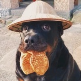 已经飘到外太空
